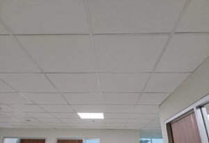 Dinogips Vinyl Tile